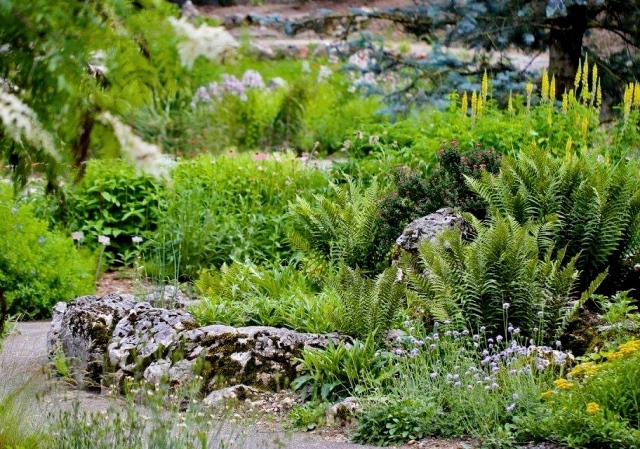 Rocailles